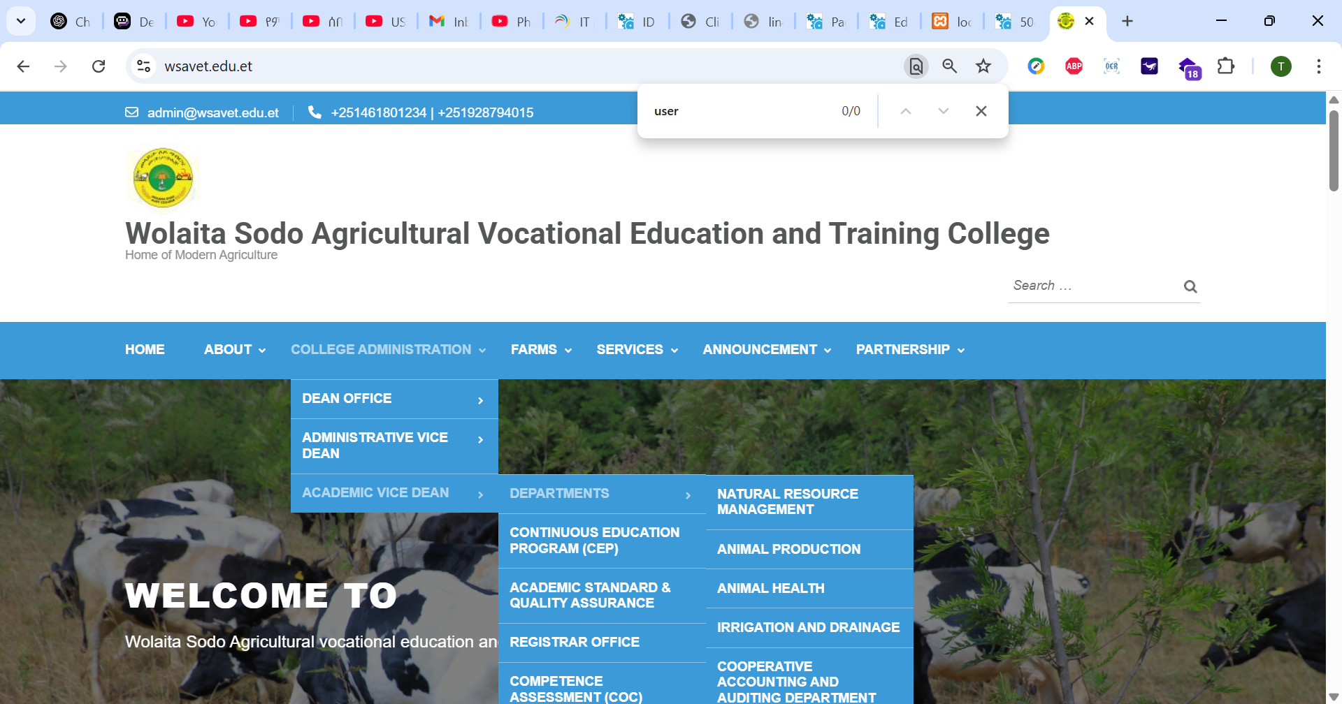 Website