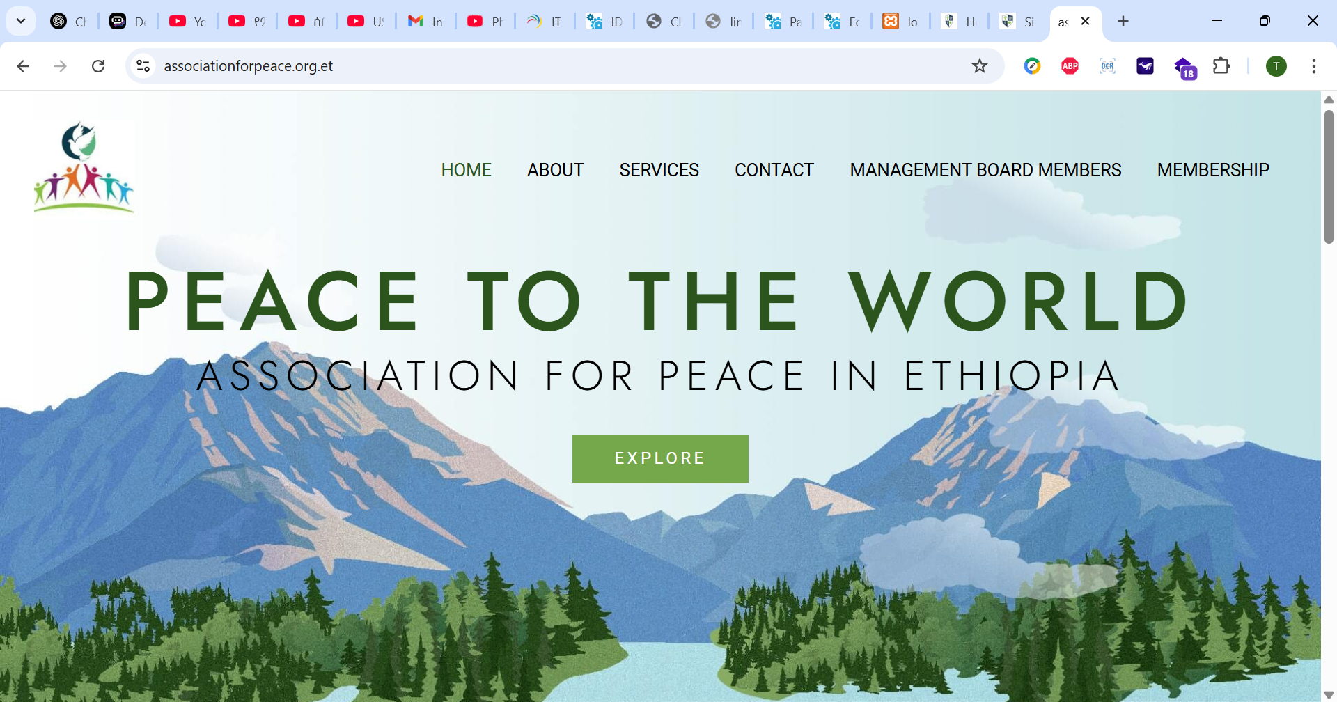 Website